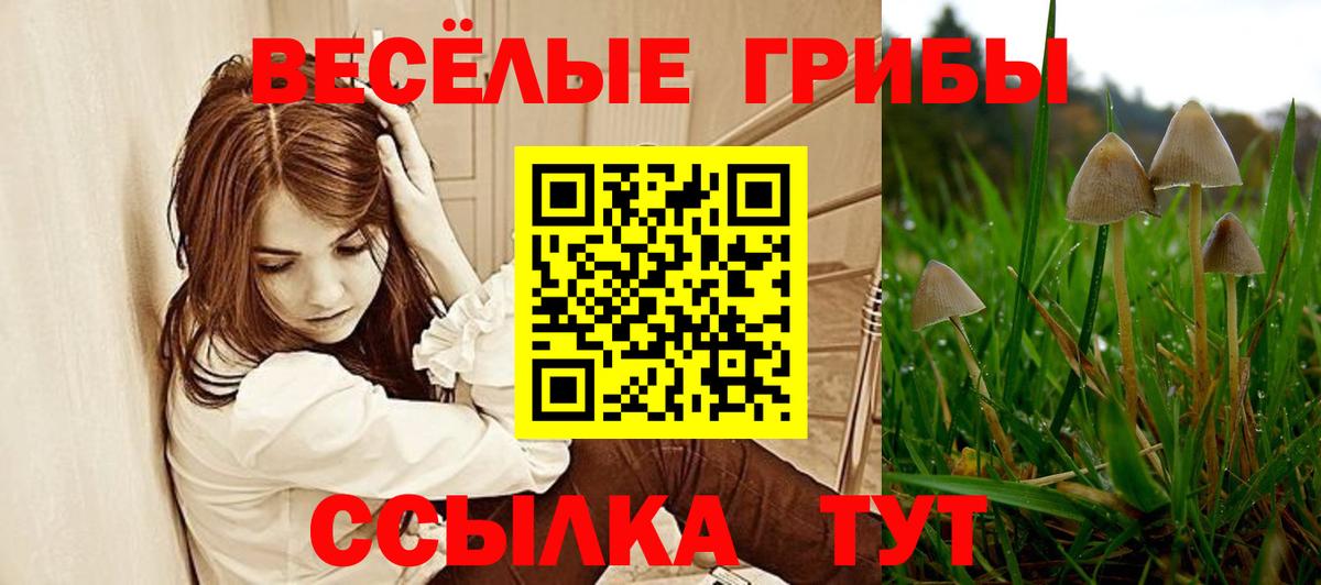 Галлюциногенные грибы Magic Shrooms Раменское